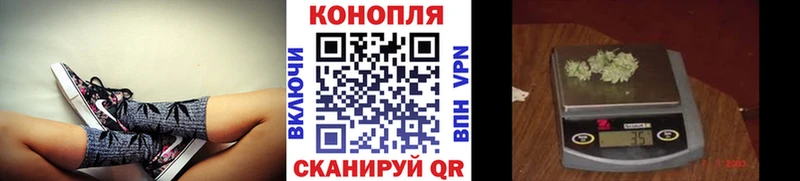 Купить наркотики сайты Кириши Cocaine  Галлюциногенные грибы  МАРИХУАНА  МЕТАДОН  Альфа ПВП  АМФЕТАМИН  ГАШ 