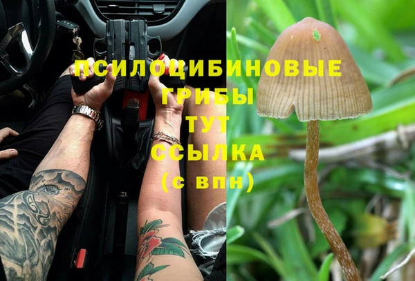 кристаллы Бородино