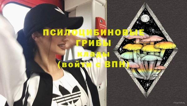 кристаллы Бородино